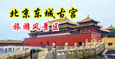 黑丝美女搞鸡网站中国北京-东城古宫旅游风景区